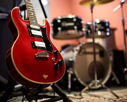 we offer our musical instruments for hire in goa