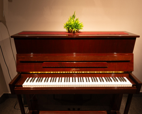 We offer our fully equipped studio for hire in goa